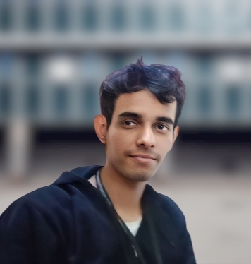 developer